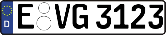 E-VG3123