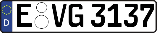 E-VG3137