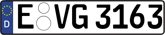 E-VG3163