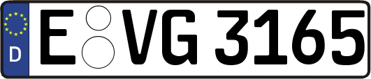 E-VG3165