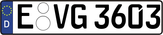E-VG3603