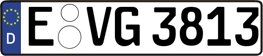 E-VG3813