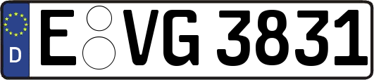 E-VG3831
