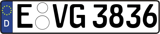 E-VG3836
