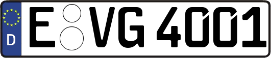 E-VG4001