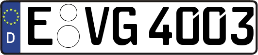E-VG4003
