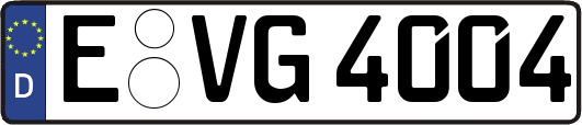 E-VG4004