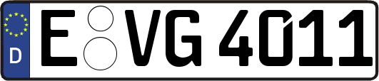 E-VG4011