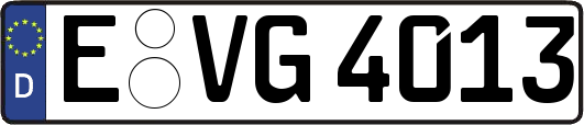 E-VG4013