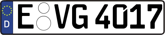 E-VG4017
