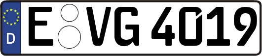 E-VG4019