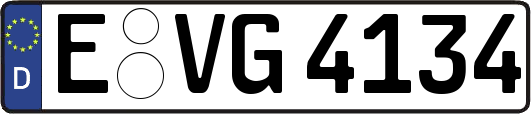 E-VG4134
