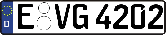 E-VG4202