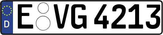 E-VG4213