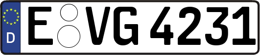 E-VG4231
