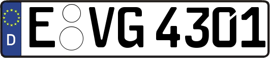 E-VG4301