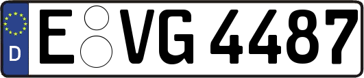 E-VG4487