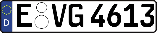 E-VG4613