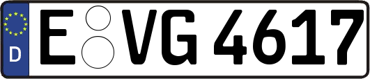 E-VG4617