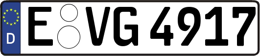 E-VG4917