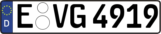 E-VG4919