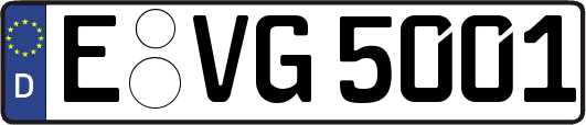 E-VG5001