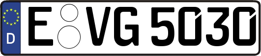 E-VG5030