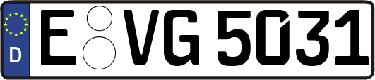 E-VG5031