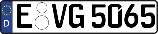 E-VG5065