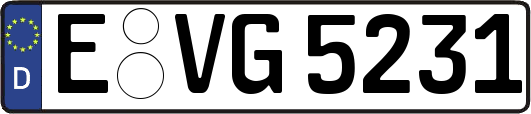 E-VG5231