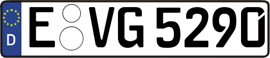 E-VG5290