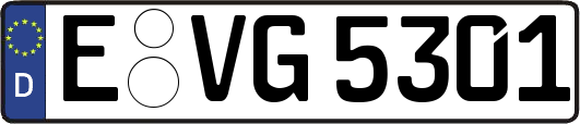 E-VG5301