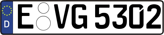 E-VG5302