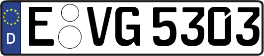 E-VG5303