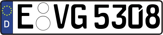 E-VG5308
