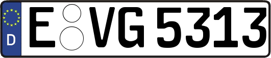 E-VG5313