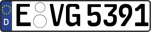 E-VG5391