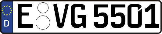 E-VG5501