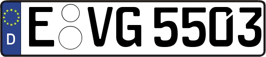 E-VG5503