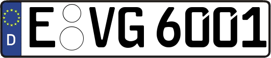 E-VG6001