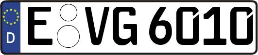 E-VG6010