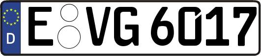 E-VG6017