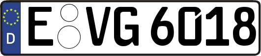 E-VG6018
