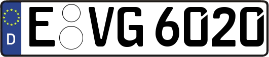 E-VG6020