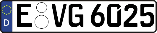 E-VG6025