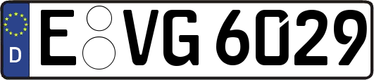 E-VG6029