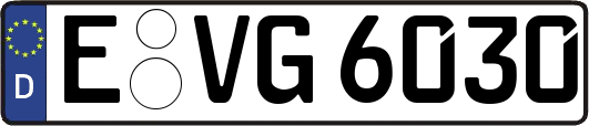 E-VG6030
