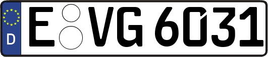 E-VG6031