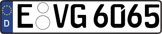 E-VG6065