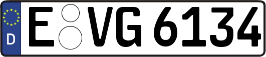 E-VG6134